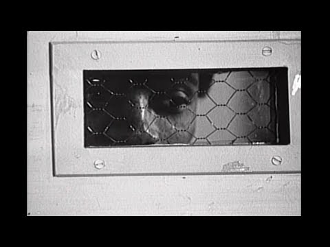 Ken Kesey - The Inspiration For One Flew Over the Cuckoo's Nest