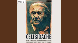 Capricorn Concerto for flute, oboe, Trumpet &amp; Orchestra, Op. 21: I. Allegro non troppo