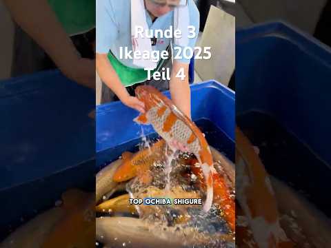 Wachstumsteich Teil 4