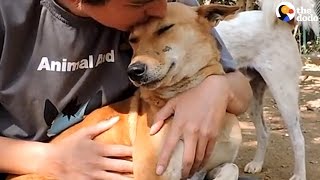 Street Dog Loves The People Who Saved Her | The Dodo