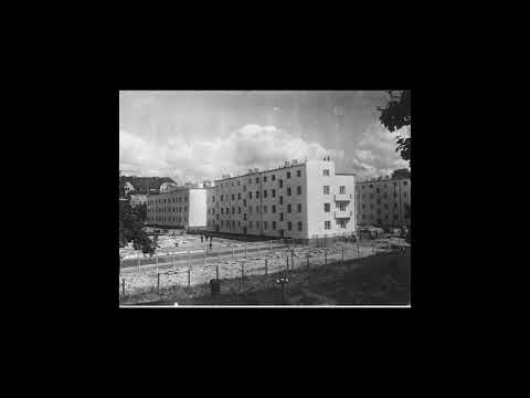 Darioo ft.Gruncik-Spontan