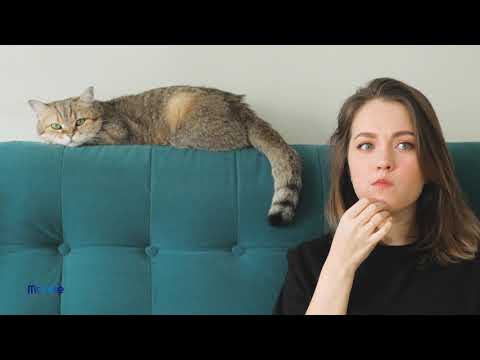 "I MAESTRI DELLA NUTRIZIONE" MONGE 30" - 02:2021