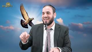 זה מה שיעשה לך את החיים קלים יותר... | פרשת פנחס | הרב דוד פריוף (הרב דוד פריוף) - התמונה מוצגת ישירות מתוך אתר האינטרנט יוטיוב. זכויות היוצרים בתמונה שייכות ליוצרה. קישור קרדיט למקור התוכן נמצא בתוך דף הסרטון