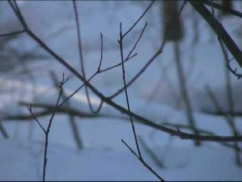 Frozen Tears (Gefrorne Tränen) from Winterriese by Franz Schubert