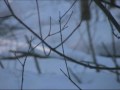 Frozen Tears (Gefrorne Tränen) from Winterriese by Franz Schubert