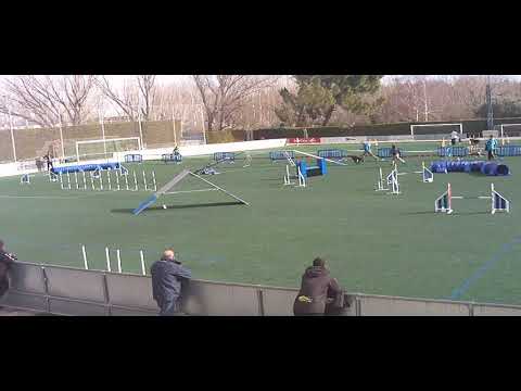 Saragossa 14 Febrer 2015 Morgan 1