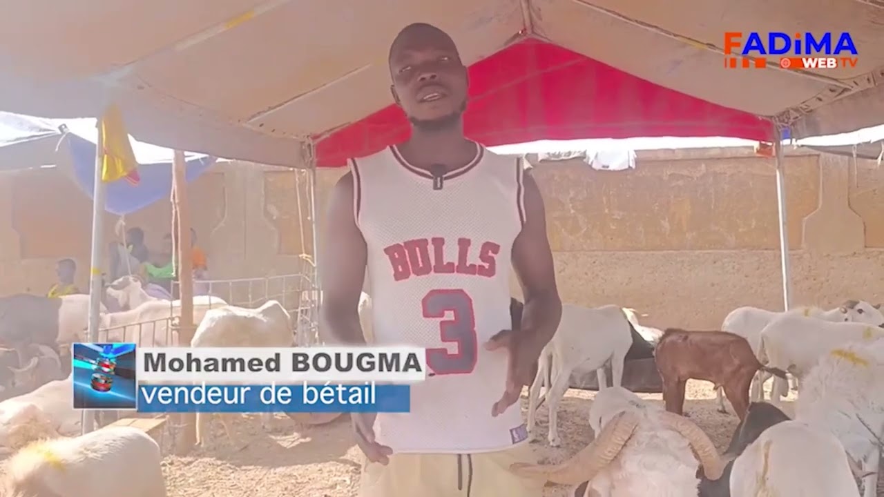 Tabaski_2026 : forte présence de bétail au marché de Tanghin, mais les acheteurs tardent encore