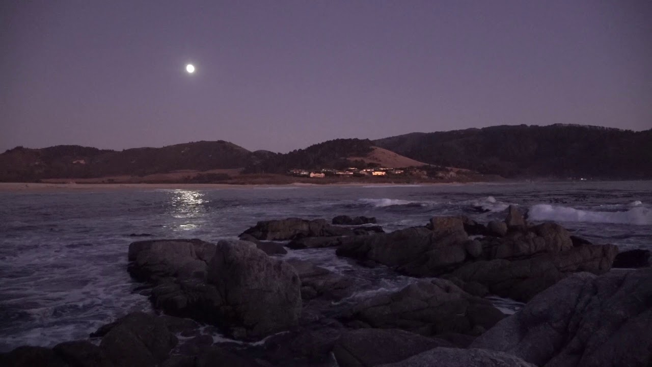 Mindfulness meditations by Terri Allen