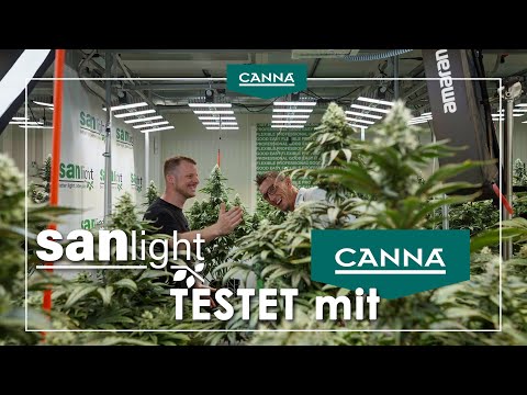 CANNA & SANlight - Im Pflanzenlabor