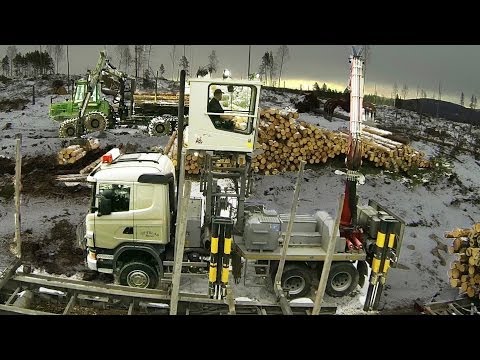 Volvo FH16 John Deere 1710 Tigercat 1075B Timberman Phantom 2