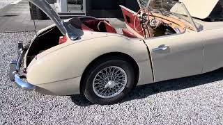 1960 Austin-Healey 3000 Mk1 Project!  oldtimer te koop
