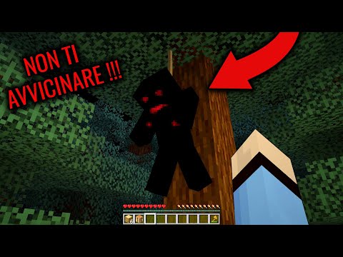 NON ENTRARE NELLA FORESTA MALEDETTA !!! - Minecraft ITA