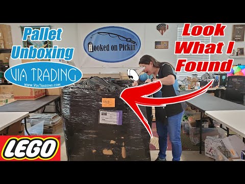Via Trading Pallet Unboxing - Look What I found?! - I can't Believe it! - Online Reselling