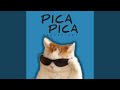 Pica Pica