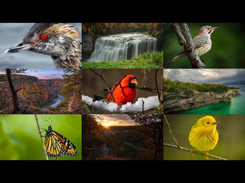 Photography Basics & Camera Settings 2026 | Exposure, ISO & Manual Mode