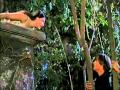 Romeo and Juliet 1968(balcony scene) - IL DIVO ...