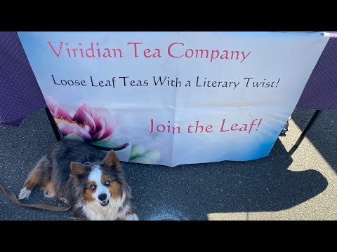 Viridian Tea House - Ashton Nyte and Rivera Sun