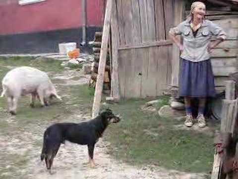 Village Project - Fantanele-Rus 2007