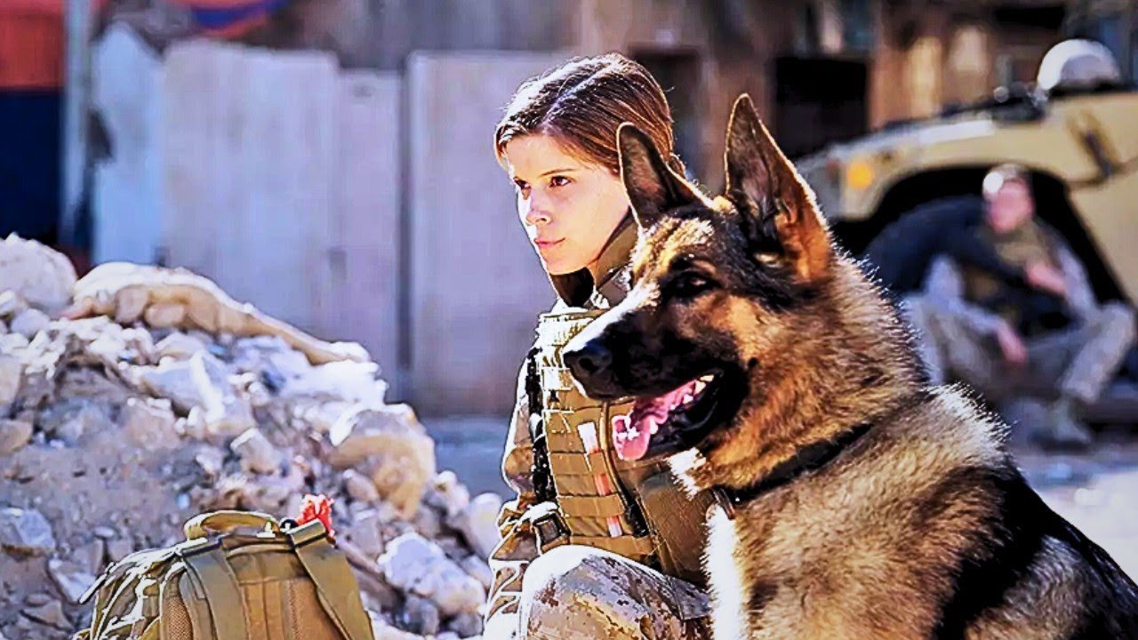 A Missão IMPOSSÍVEL: Conquistar o CÃO Mais TEMIDO do Exército