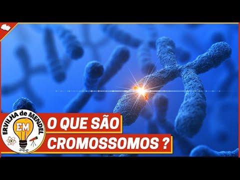 Cromossomos | Tipos de cromossomos | O que são cromossomos ?