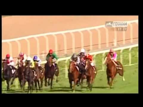 Premio Presidente della Repubblica Rome 2008 (Group 1): Saddex - Pressing - Freemusic