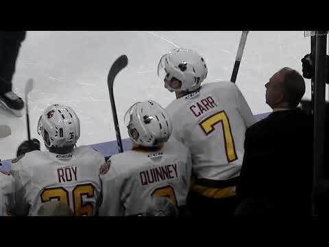 Wolves vs. Admirals | Dec. 26, 2018