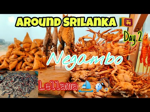 Around Srilanka 🇱🇰 | Day 2 #ajtravelops | Negombo Browns beach 🏖️ |மீன் பிடி தளம் | Sea Foods