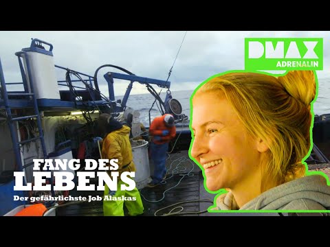 Fangfahrt am Limit: Das Rennen gegen Gezeiten und Zeit | Fang des Lebens | DMAX Adrenalin