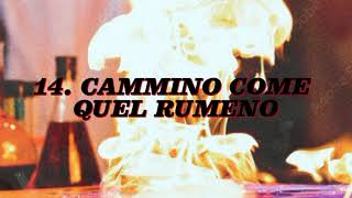 CAMMINO COME QUEL RUMENO Lyrics English Translation