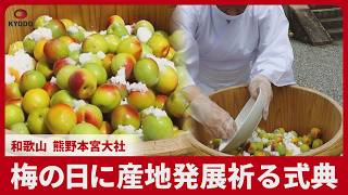 梅の日に産地発展祈る式典 和歌山、熊野本宮大社