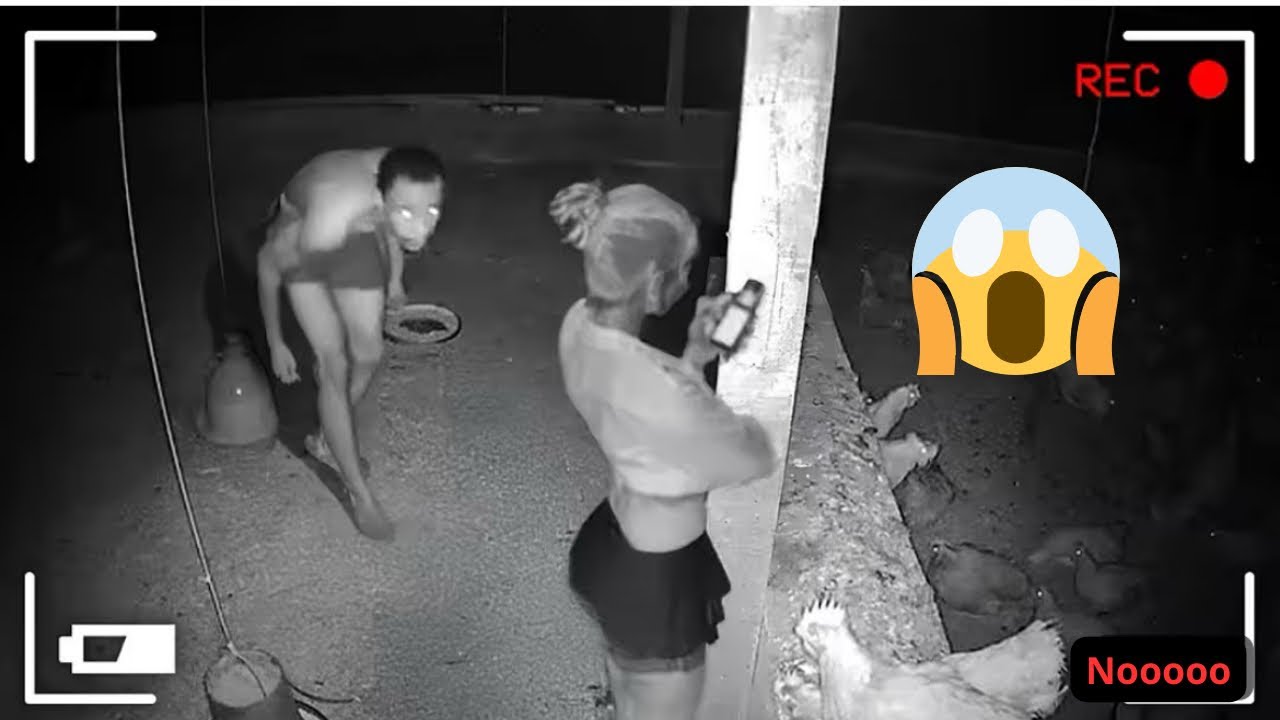 Los vídeos e imágenes más increíbles jamás capturados – Lo Mejor del 2025