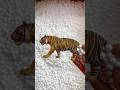 Wild animal royal bengal tiger toys