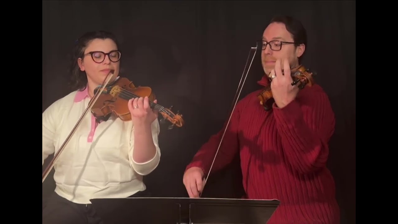 Promotional video thumbnail 4 for Skyline Strings