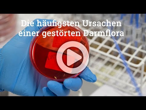 , title : 'Die häufigsten Ursachen einer gestörten Darmflora - Dysbiose'