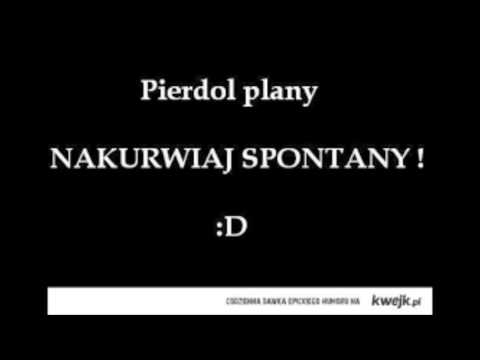 Warga X Matusz X Belzi - Wolny Dzień