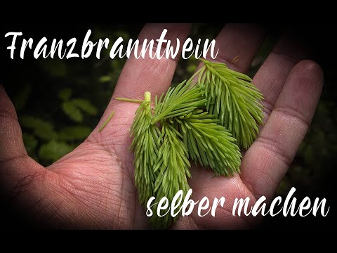 Franzbranntwein selber machen die Kraft der Natur