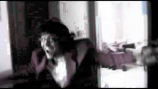 Video Presentation 2009