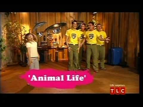 Bindi Irwin "Animal Life"