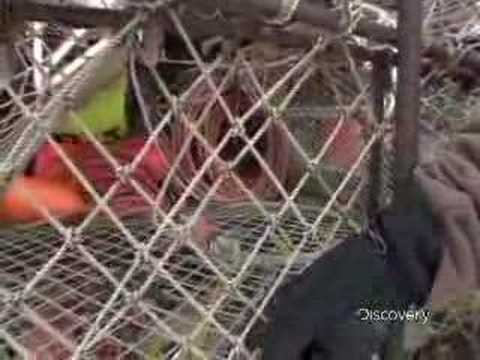Deadliest Catch - How Crab Pots Work