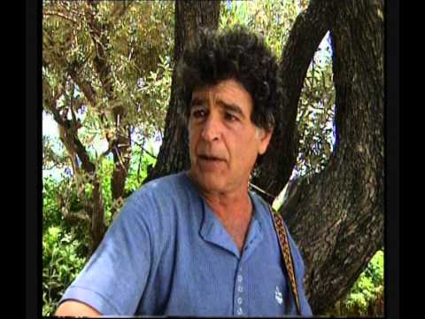 מאיר אריאל על ירושלים של ברזל