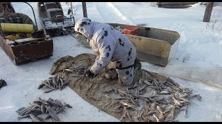 Ловля хариуса зимой на озерах