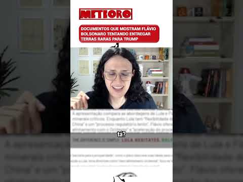DOCUMENTOS QUE MOSTRAM FLÁVIO BOLSONARO TENTANDO ENTREGAR TERRAS RARAS PARA TRUMP
