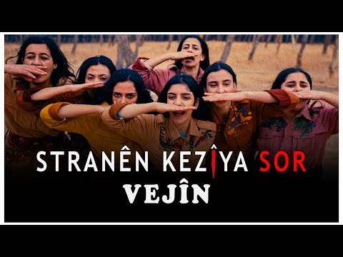 Vejîn (ft.Mufîde Hemdî)