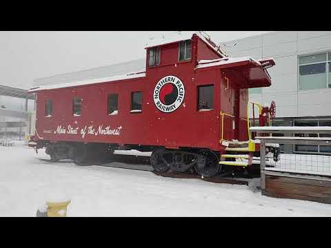 Snow Day Kirkland WA 2/13/21 and 2/14/21