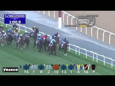 31.01.2015 Meydan (Dubai/UAE) 5.Race Saeed & Mohammed Al Naboodah Group Trophy - Handicap 1.400 m