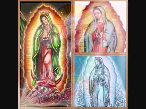 PiNGUInOS DE la veNa ANiV 2010 - kiss soUnd (La cuMbIa nelly)