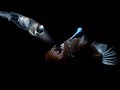 Deep Sea Creatures Exhibit Bioluminescence | Blue Planet | BBC Earth