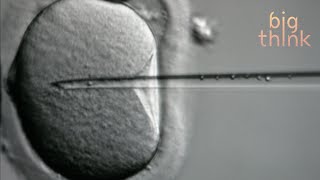 Slavoj Žižek is Not Afraid of The New World