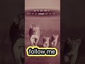 Nayak Nahi Khalnayak Hu Main Khalnayak Shortvideo Trending Short Viral Ytshorts Motivation