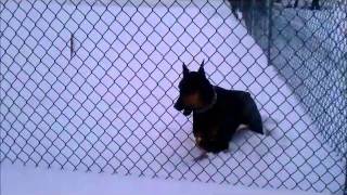 Snow Storm Aftermath the Bronx